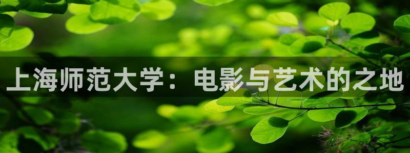 嫩草影院日本美女影院